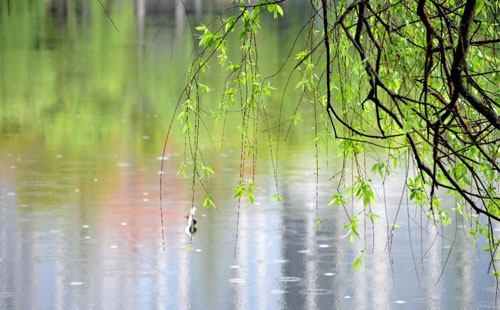 雨季的建筑守护 —— 吉成建筑装饰的产品在雨季的应用实践